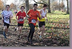 Begles 15.12.13 01 577 * 679 x 453 * (218KB)